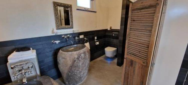 德鲁姆霍夫住宿加早餐旅馆(B&B de Droomhoeve)图片