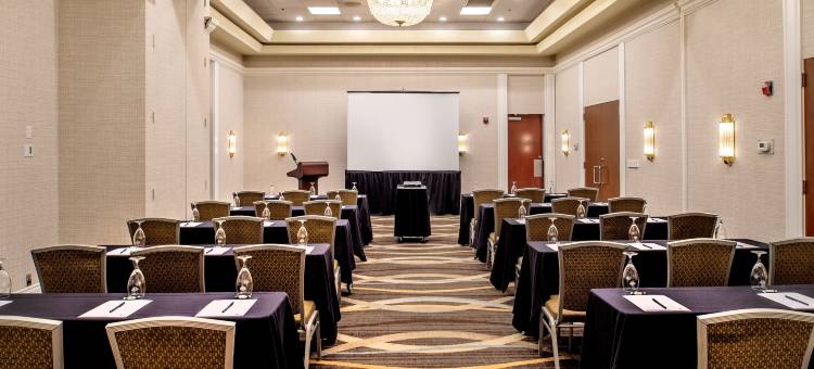 柯林斯威尔圣路易斯希尔顿逸林酒店(DoubleTree by Hilton Collinsville - St. Louis)图片