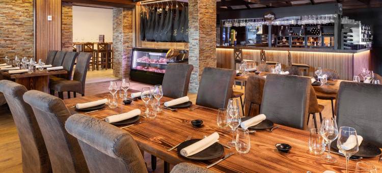 内华达山脉美利亚酒店(Melia Sierra Nevada)图片