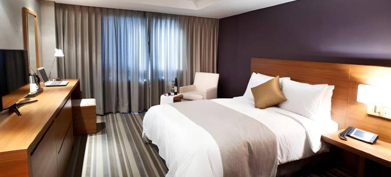 温阳柴尔酒店(The Cheil Hotel Onyang)图片