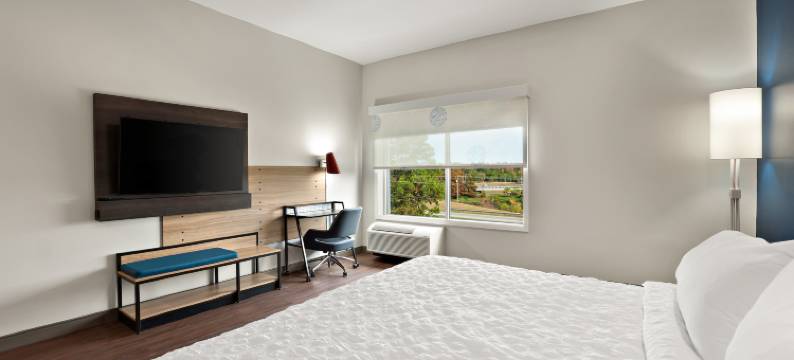 桑蒂希尔顿特鲁酒店(Tru by Hilton Santee)图片