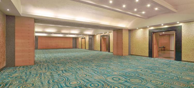 金奈OMR 丽亭酒店(Park Plaza Chennai OMR)图片