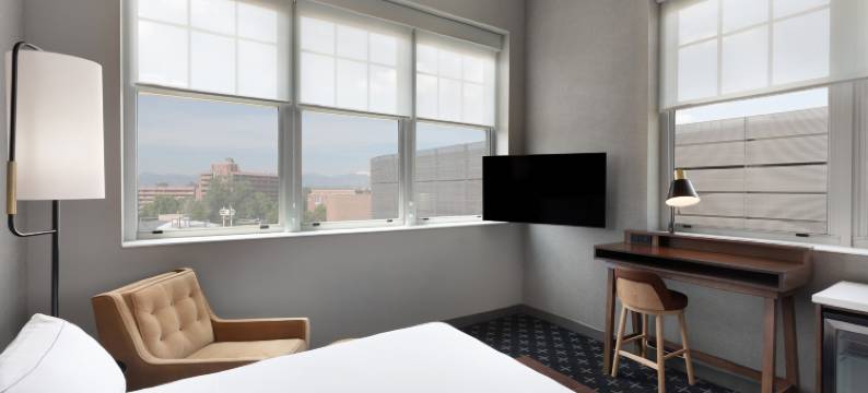 丹佛石板酒店，希尔顿启缤精选(The Slate Hotel Denver Downtown, Tapestry by Hilton)图片