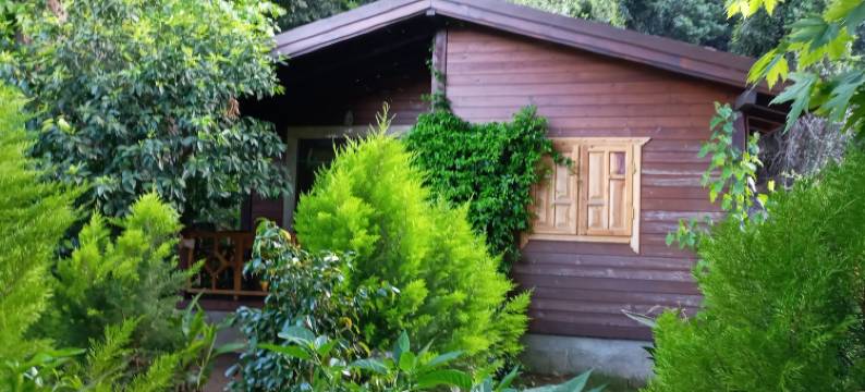 马吉村庄酒店(Maji Village)图片