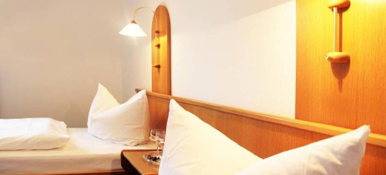 阿尔斯费尔德城市酒店(Stadthotel Alsfeld)图片