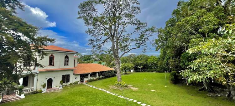 圣尼古拉斯农庄酒店(Hotel Finca San Nicolas)图片