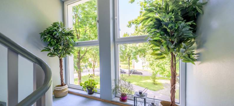 EG L 70m2 2-Zimmer Wohnung图片