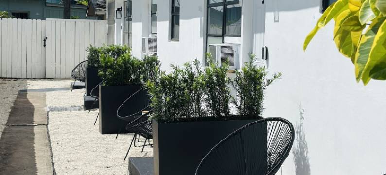 威尔顿庄园旅馆(Wilton Manors Guesthouse)图片