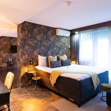 凡德瓦克酒店(Van der Valk Drachten)图片