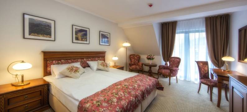 帕里斯艺术与商务酒店(Hotel Paryski Art & Business Zakopane - Basen Jacuzzi Sauna Małpi Gaj)图片
