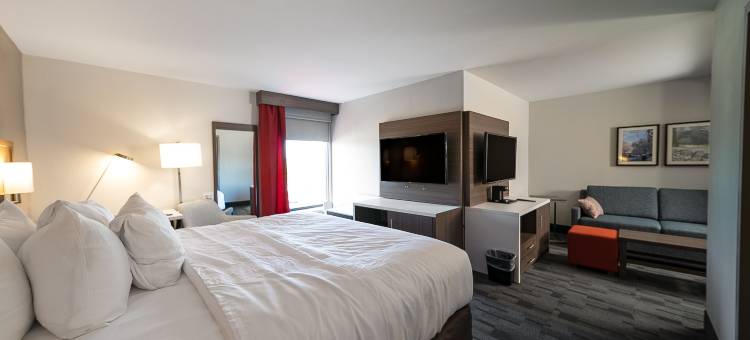 舒适酒店及套房-怀奥米辛雷丁(Comfort Inn & Suites Wyomissing-Reading)图片