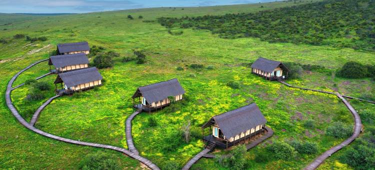 戈拉大象营酒店(Gorah Elephant Camp)图片