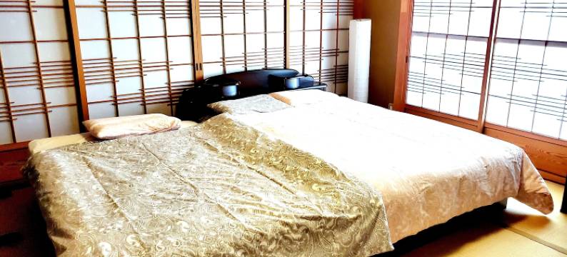 常春藤宾馆(Guesthouse Ivy)图片