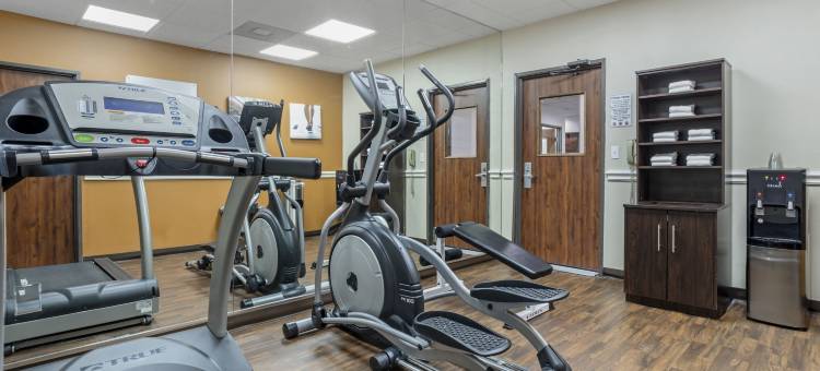 休斯顿西北舒适套房酒店-复古公园(Comfort Suites Houston NW - Vintage Park)图片