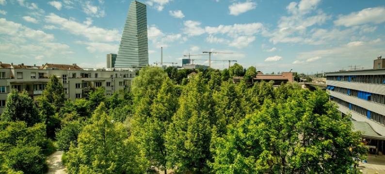 莱茵河畔达斯布雷特酒店(Dasbreitehotel am Rhein)图片