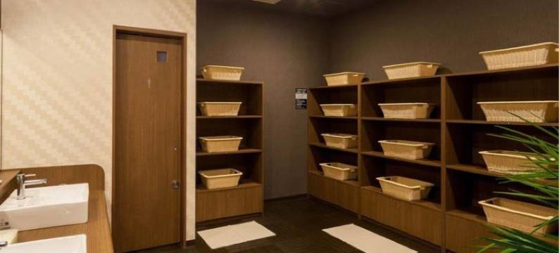 露樱酒店东广岛西条站前店(Hotel Route-Inn Higashihiroshima Saijo Ekimae)图片