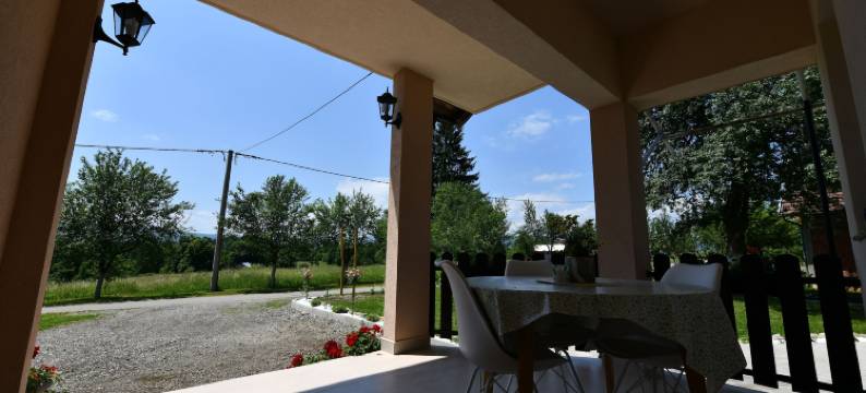 绿色菩提树(Apartments Green Linden)图片