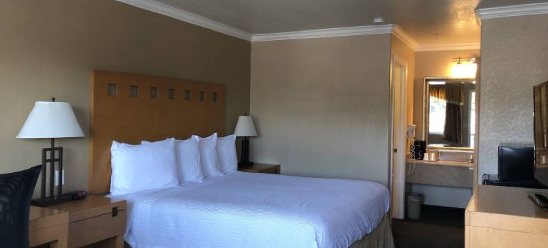 波因特湖旅馆(Lake Point Lodge)图片