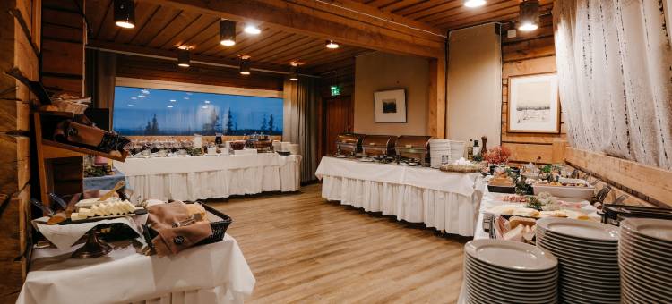 帕拉斯拉普兰酒店(Lapland Hotels Pallas)图片