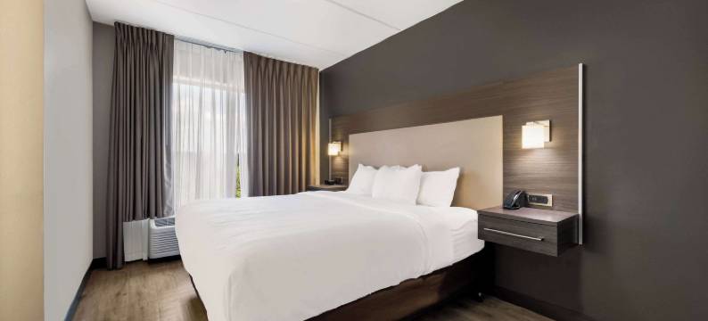 北湖舒适套房酒店(Comfort Suites Northlake)图片