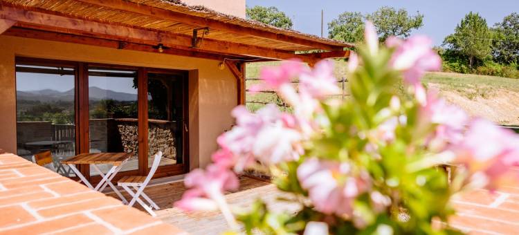 朱阿尔波佐农业旅游(Agriturismo Giù Al Pozzo)图片