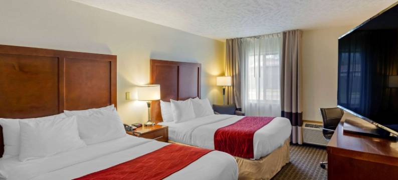 阿特金斯马里恩I-81舒适酒店(Comfort Inn Atkins-Marion I-81)图片