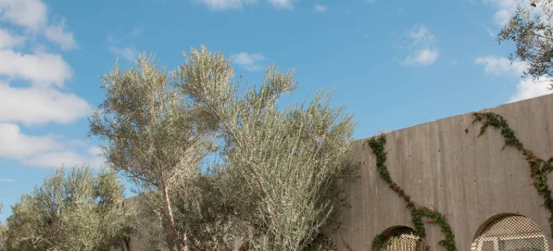 安达纳度假村酒店(Hotel Andana Resort)图片