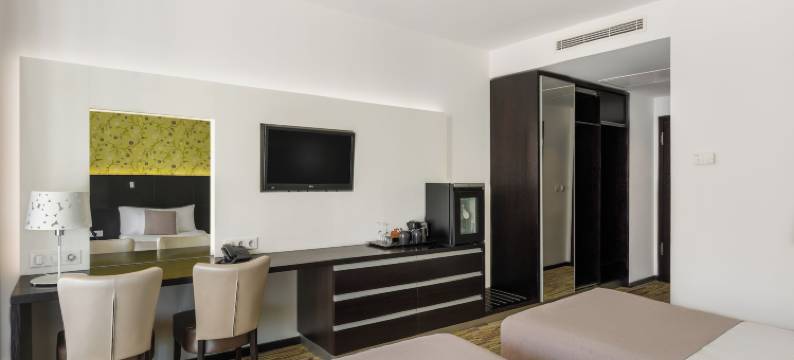 塞格德艺术酒店(Art Hotel Szeged)图片