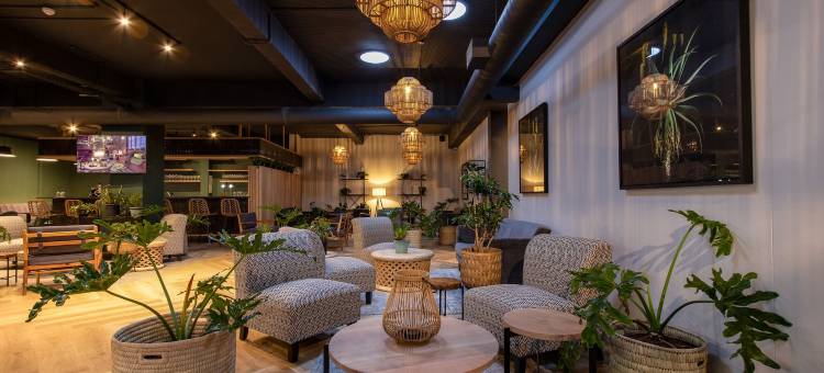 克鲁夫街酒店(Kloof Street Hotel - Lion Roars Hotels & Lodges)图片