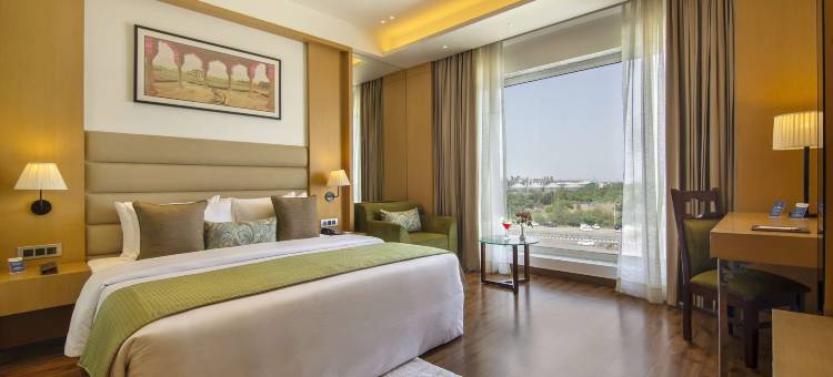 索内帕特索罗瓦波蒂科酒店(Sarovar Portico Sonipat)图片