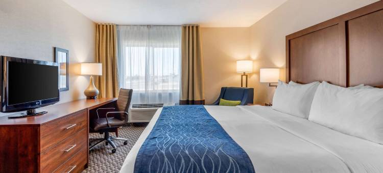 舒适套房酒店-近66号公路(Comfort Inn & Suites Near Route 66)图片