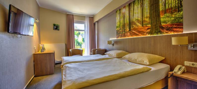 贸易酒店(Hotel du Commerce - Restaurant la Table de Clervaux)图片