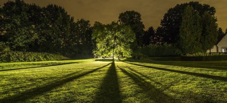 多眠马蒂努斯酒店(Domein Martinus)图片