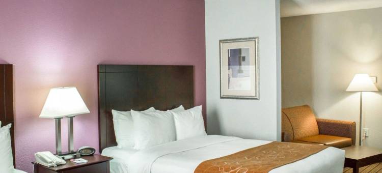 舒适套房酒店(Comfort Suites)图片