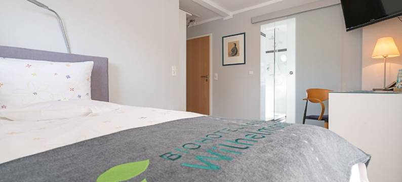 卡塞尔维尔姆托尔生态酒店(BioHotel Kassel Wilhelmshöher Tor)图片