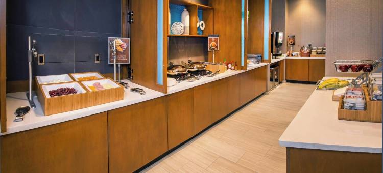 盖恩斯维尔干草市场SpringHill Suites酒店(SpringHill Suites Gainesville Haymarket)图片