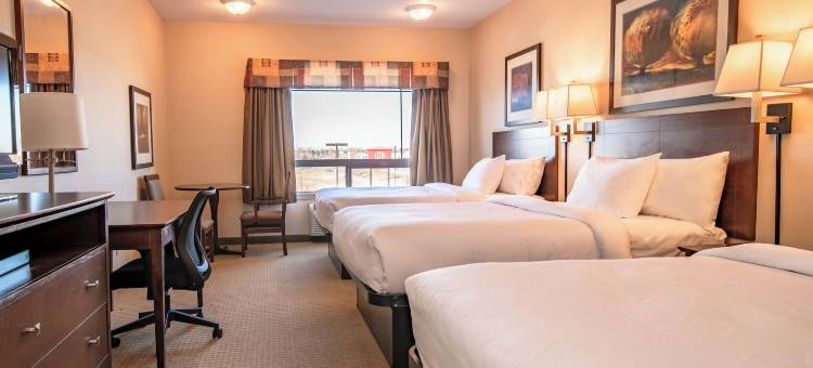 华美达高地河流酒店(Canalta High River)图片