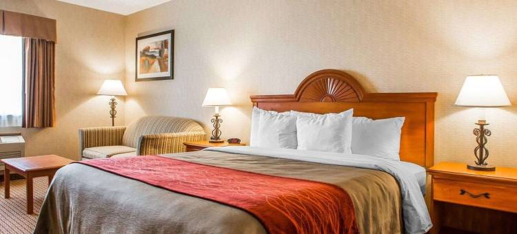 凯艺酒店(Quality Inn)图片