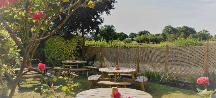 在手之鸟酒店(The Bird in Hand)图片