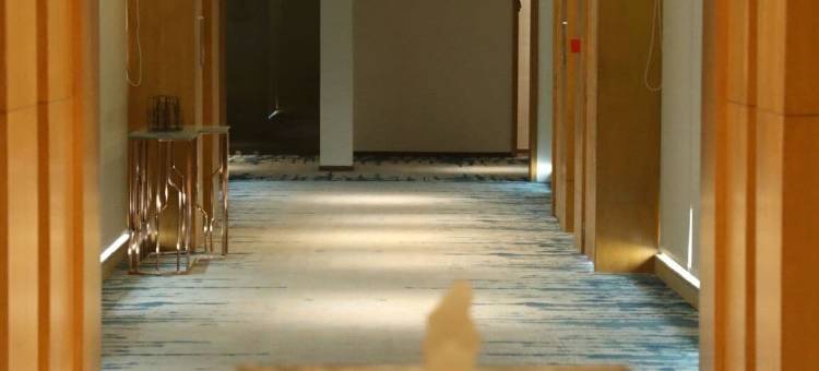 莫尔比芬恩公寓(The Fern Residency, Morbi)图片