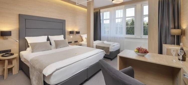 斯纳兹卡酒店(Hotel Sněžka)图片
