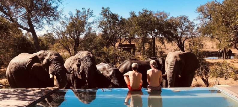 曼托贝尼蜜糖导游帐篷野生营地(Honeyguide Tented Safari Camp - Khoka Moya)图片