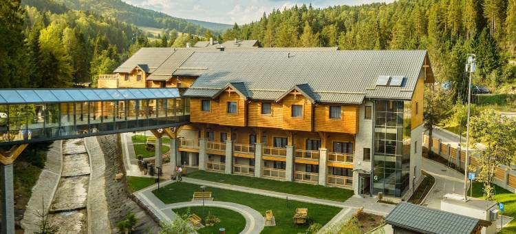 黑色溪流SPA度假会议酒店(Hotel Czarny Potok Resort SPA & Conference)图片