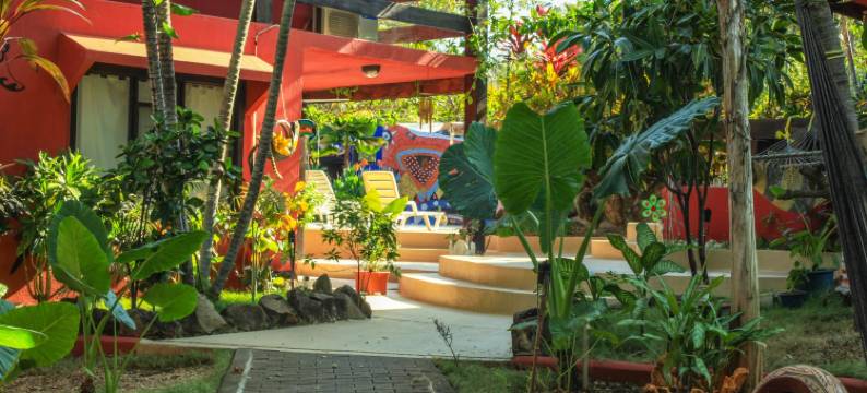 马萨伊公寓酒店(Massai Apartments)图片