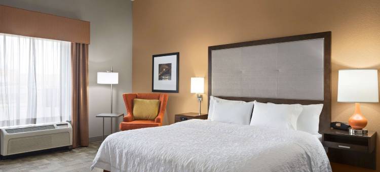 希尔顿欢朋酒店-佩尔市(Hampton Inn Pell City)图片