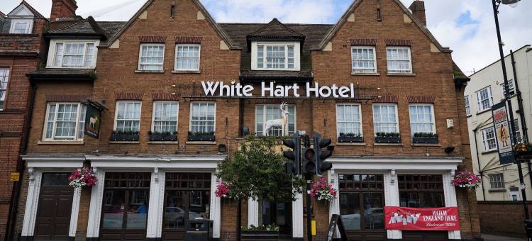 白鹿 - 纽马基特马斯顿旅馆(White Hart, Newmarket by Marston's Inns)图片