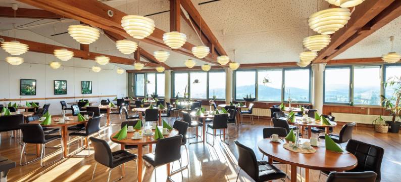 米歇尔卡罗利瓦尔德基兴酒店(Michel Hotel Karoli Waldkirchen)图片