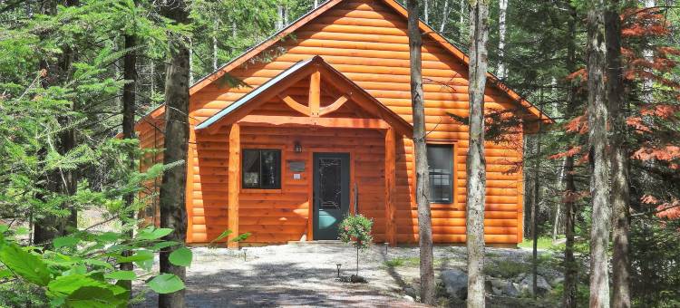 罗伯特佛洛斯特山区小屋酒店(Robert Frost Mountain Cabins)图片