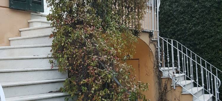 花园套房酒店(Garden Suite)图片