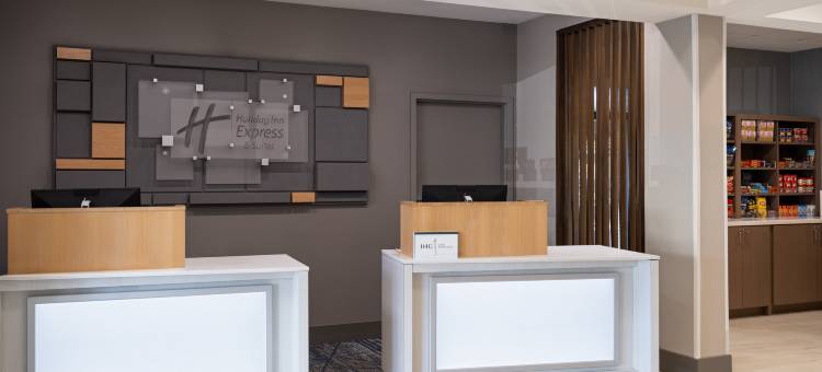 圣彼得堡北(I-275)智选假日酒店(Holiday Inn Express & Suites ST. Petersburg North (I-275))图片